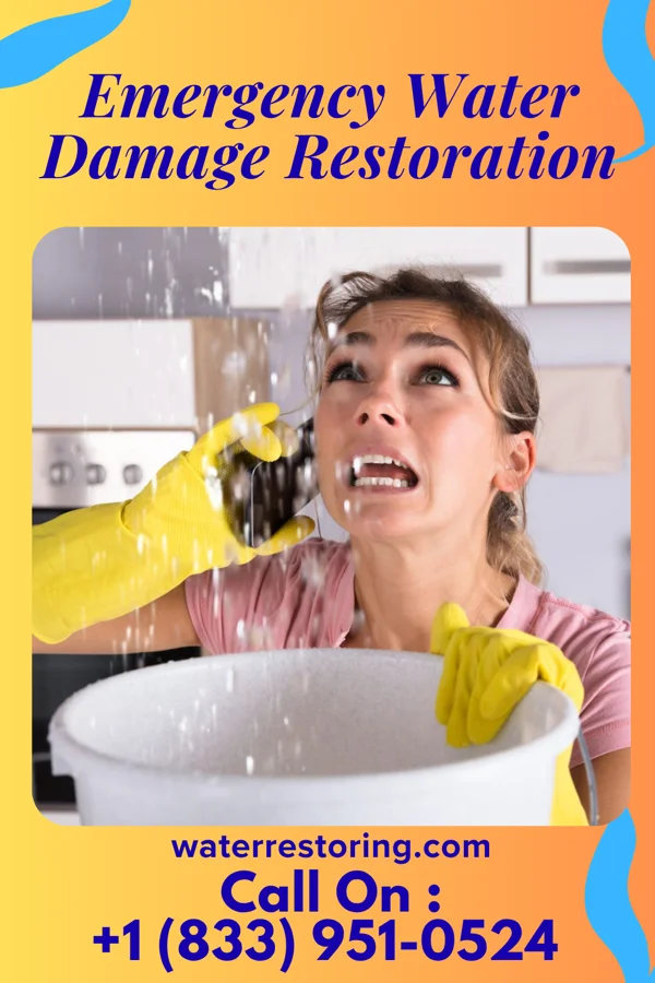 Emergency Water Damage Restoration in Dodd City, TX